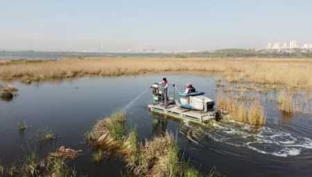 Esenyurt’ta artan kemirgen sorunu sonrası İBB ekiplerinden hızlı ilaçlama ve temizlik