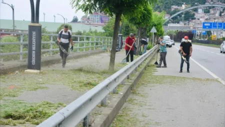 Giresun Belediyesi park ve sahillerde ot temizliğine hız verdi: Yeşil alanlar yaz boyunca düzenli bakımdan geçiyor