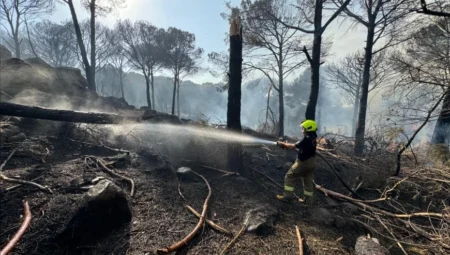 İzmir Bergama’da Orman Yangını Evleri Etkiledi, İtfaiye ve Orman Ekipleri Alevlere Müdahale Ediyor