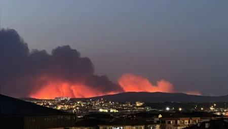 Eskişehir Büyükşehir ekipleri Kocaeli’den sonra Çanakkale’deki orman yangınına da destek verdi