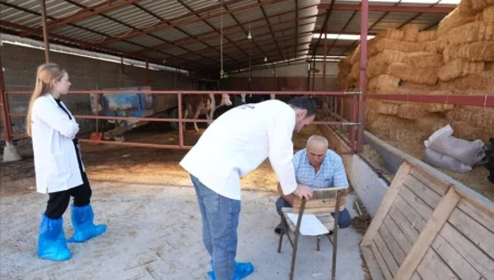 Denizli’de üreticilere ücretsiz veterinerlik desteği, büyükbaş hayvanlarda sağlık kontrolü başlatıldı