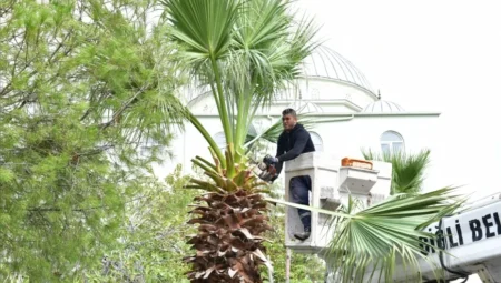 Onur Emrah Yıldız: “Çiğli’de hem doğayı koruyor hem de kenti güzelleştiriyoruz”